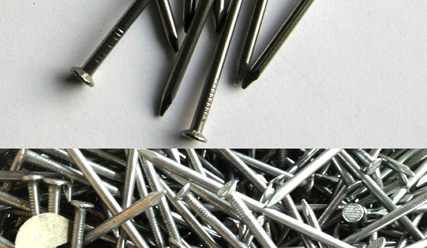 Hot Dipped Galvanized Common Nails with Round Caps