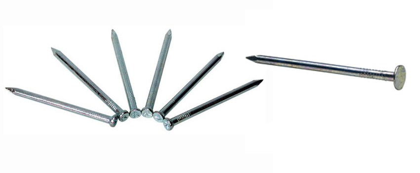 Galvanized Steel Wire Nails