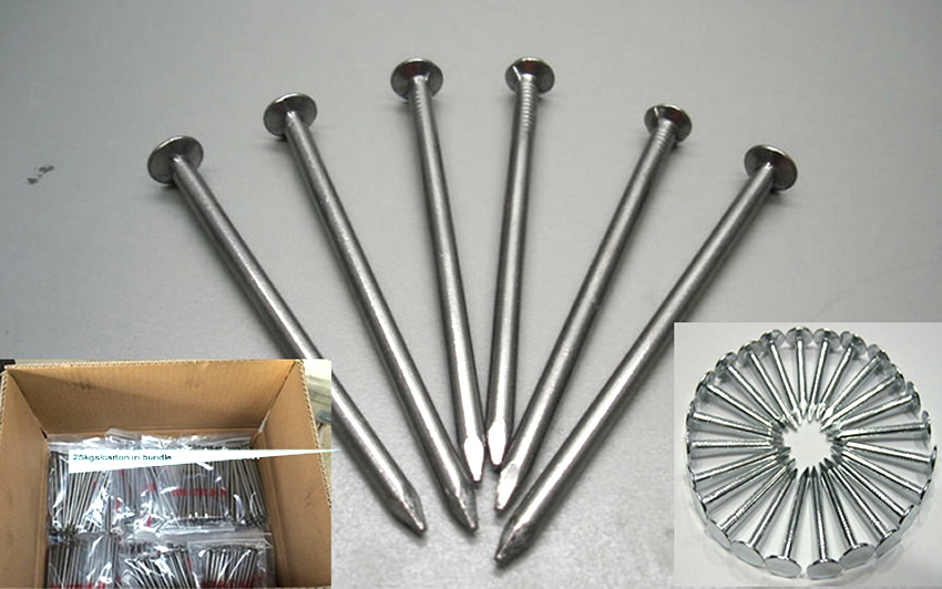 Round Head Fastening Nails