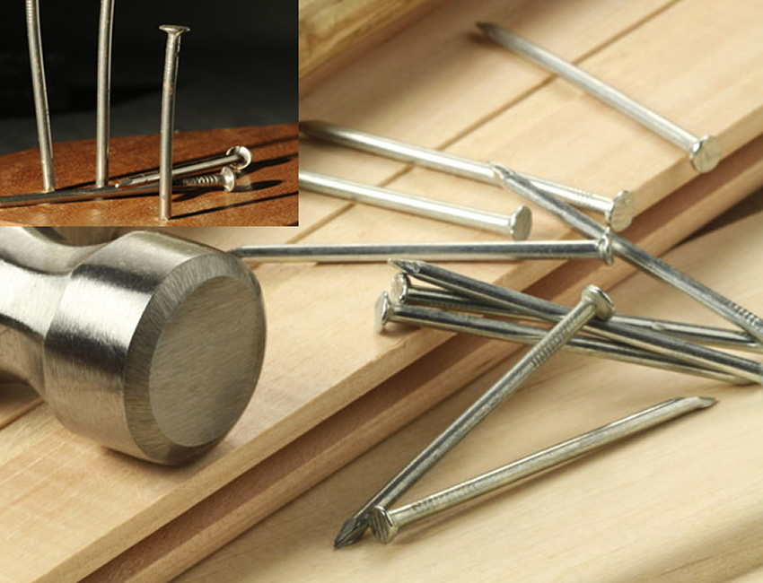 Hot Dipped Zinc Plated Wire Nails for Roof Fastening