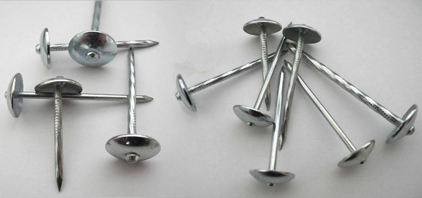 Stainless Steel Nails with Zinc Plating for Asphalt Felt Fixing